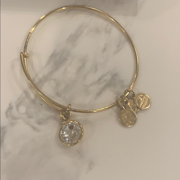 Alex and ani bracelet - Picture 2 of 2